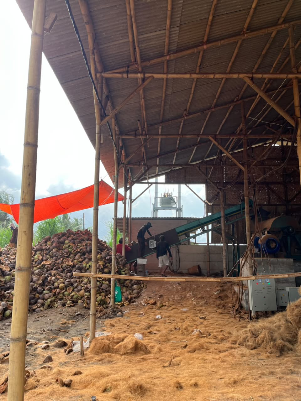 Coconut husks sourced for processing