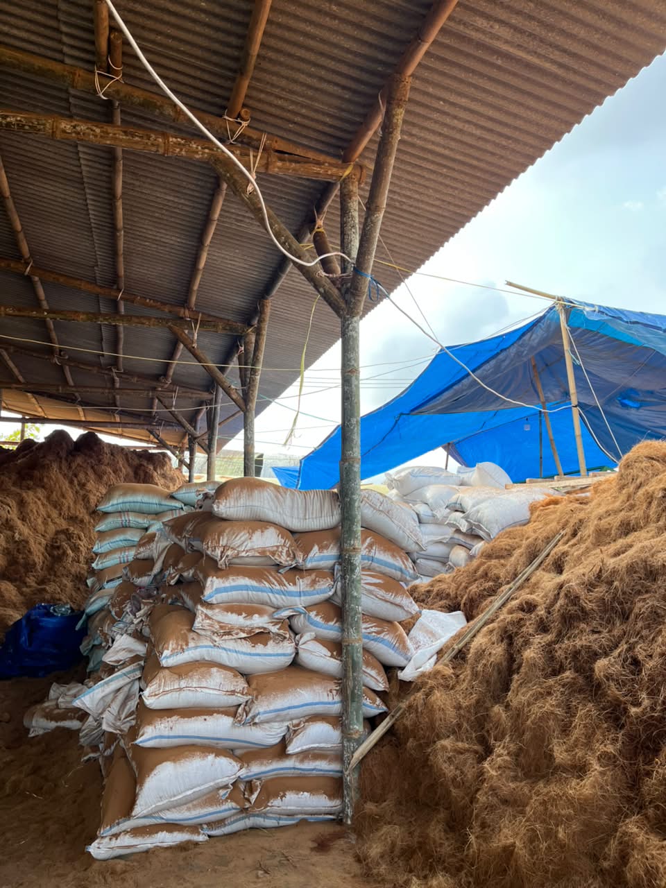 Coco peat bagged and quality checked