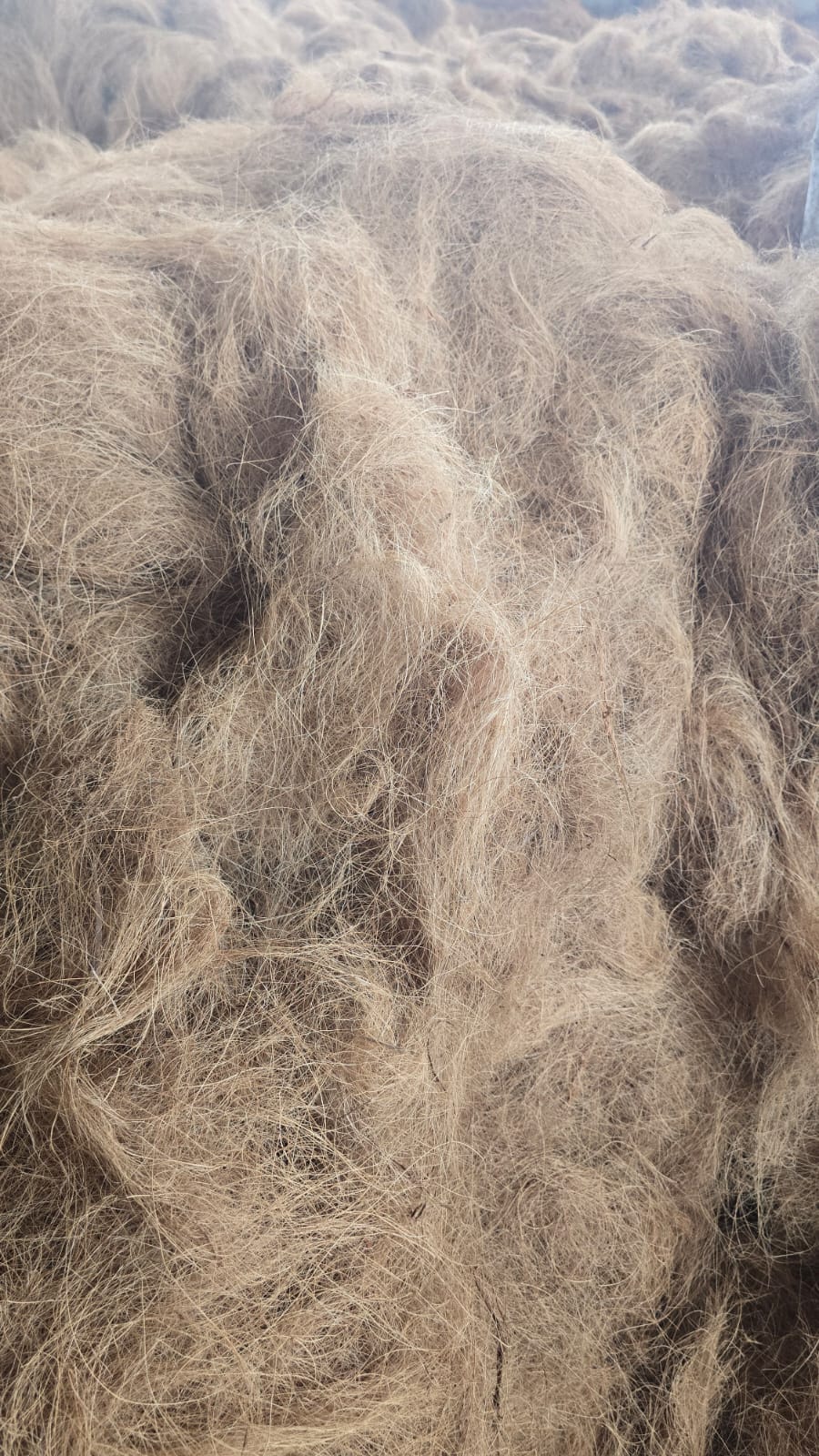 Close-up of raw coco fiber texture